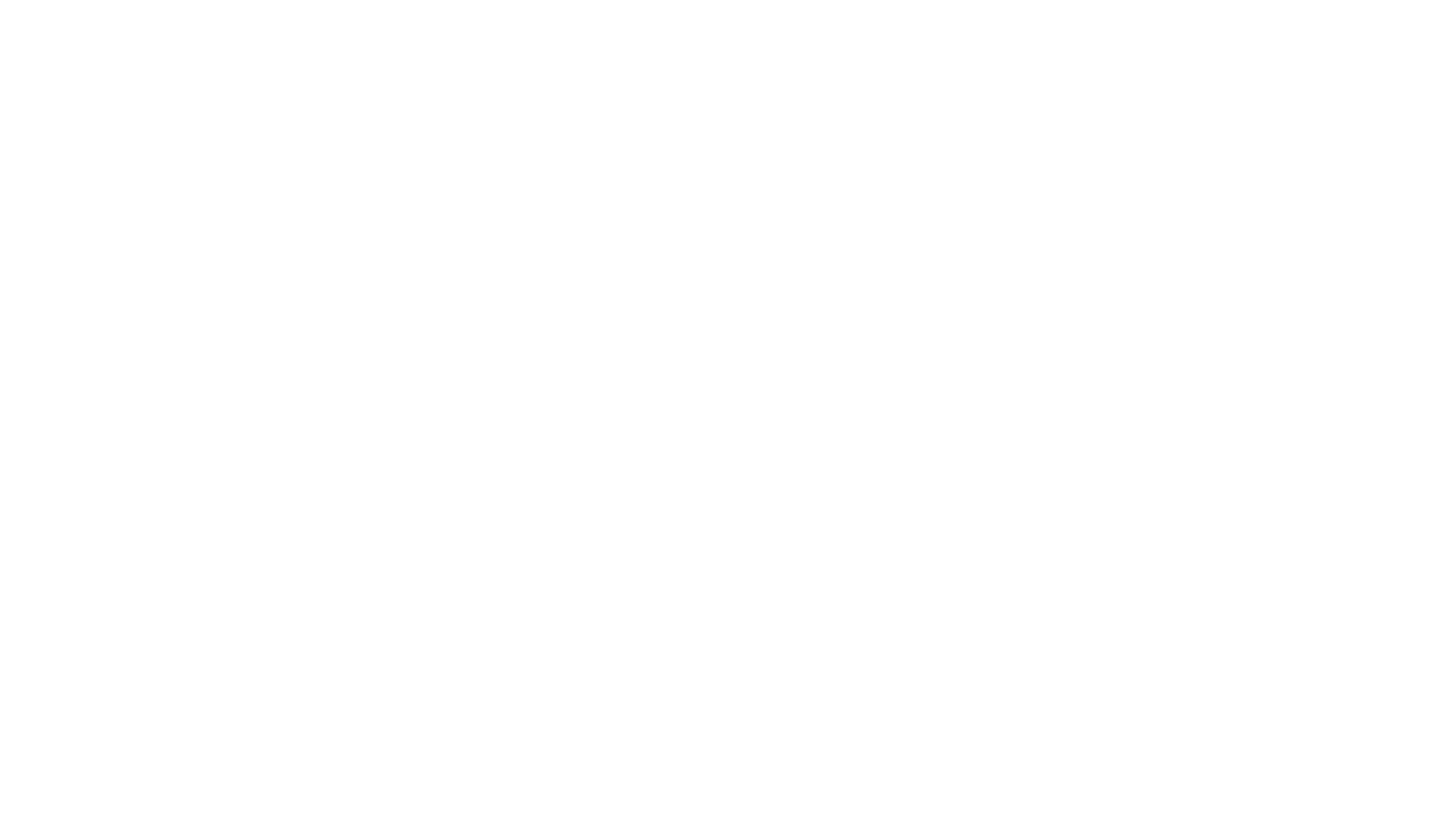 24 TWENTY FOUR INC.
